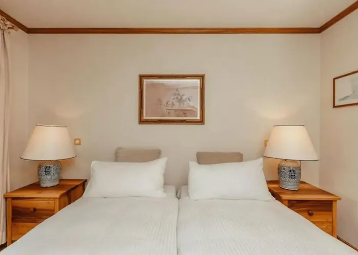 Luxurious Serviced Flat In 5 Star Park Gstaad