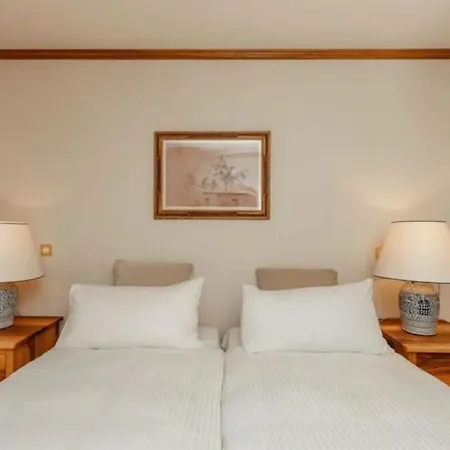 Luxurious Serviced Flat In 5 Star Park Gstaad