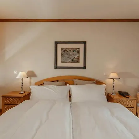 Apartamento Luxurious Serviced Flat In 5 Star Park Gstaad